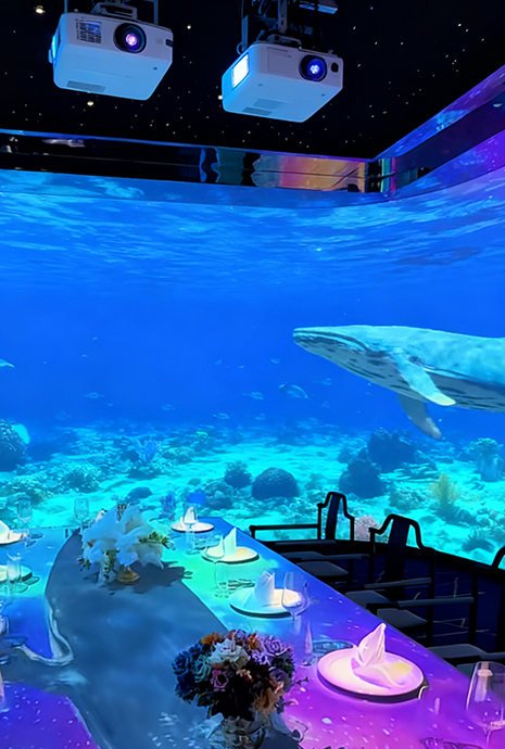 Advanced Holographic Technology for Restaurant, Banquet, Stage, Retail & Museum 5D Holographic Display and Interactive Fan for Advertising & Exhibition